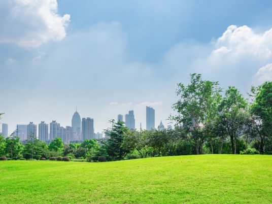 柔佛土地出售：一个不断增长的投资机会